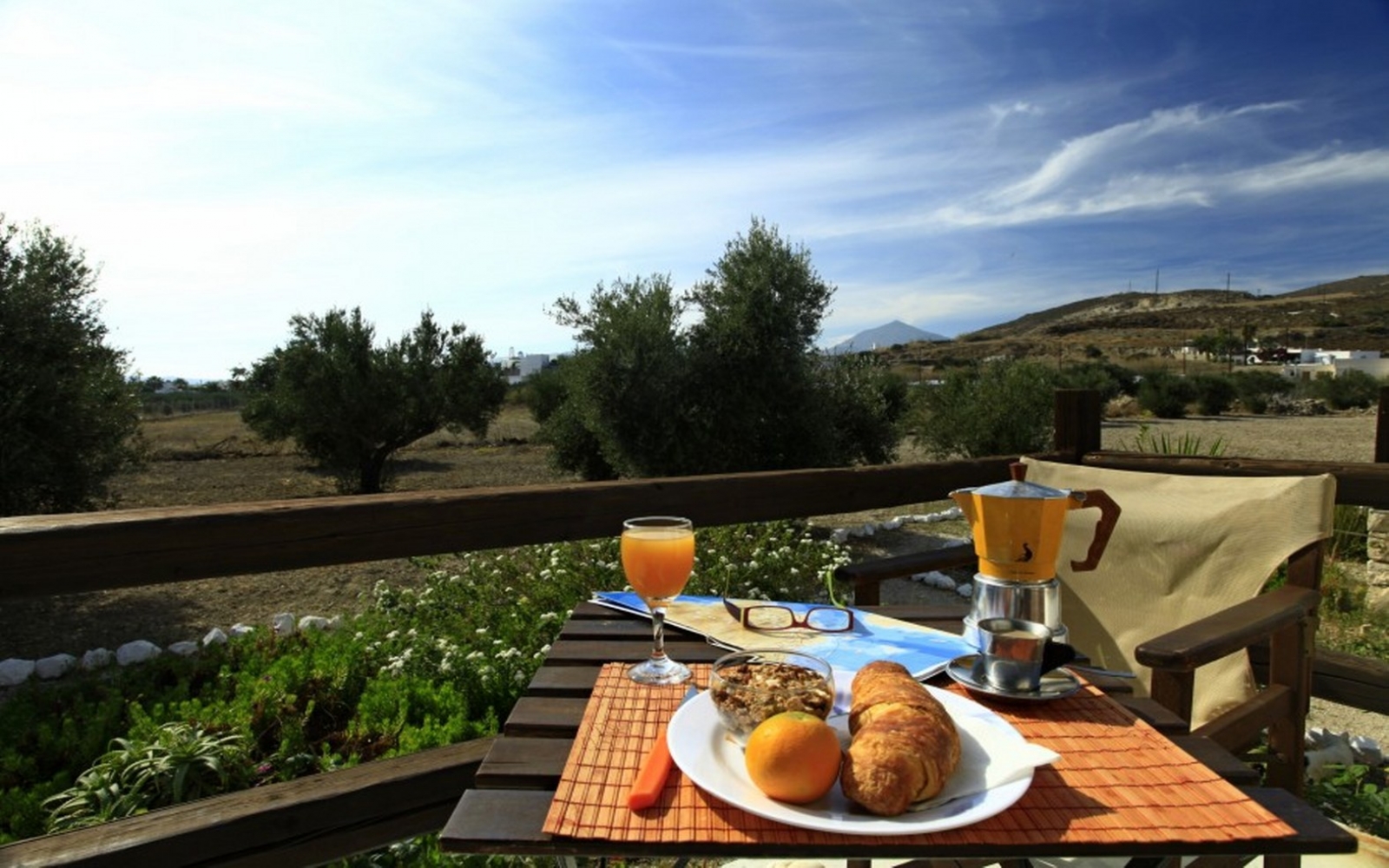 Studio Calypso with Olive Grove View